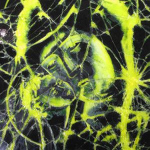 neon yellow and black glass art canvas depitcing jesus