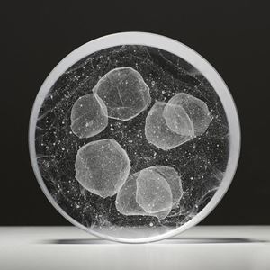 minimalist round glass artwork with night sky pattern