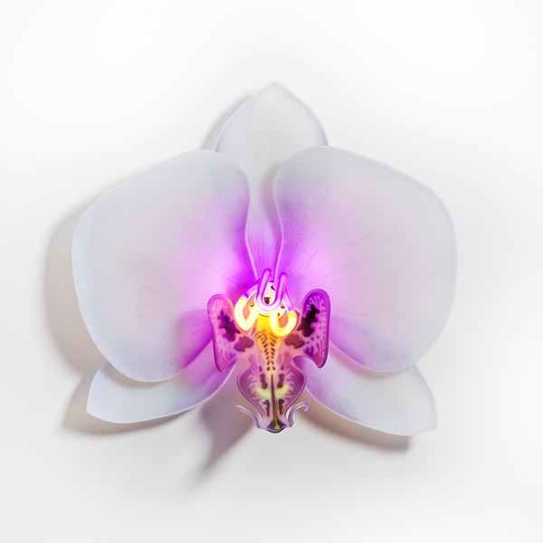 Laura Hart - Orchis Exotica Phalaenopsis Violet | Vessel