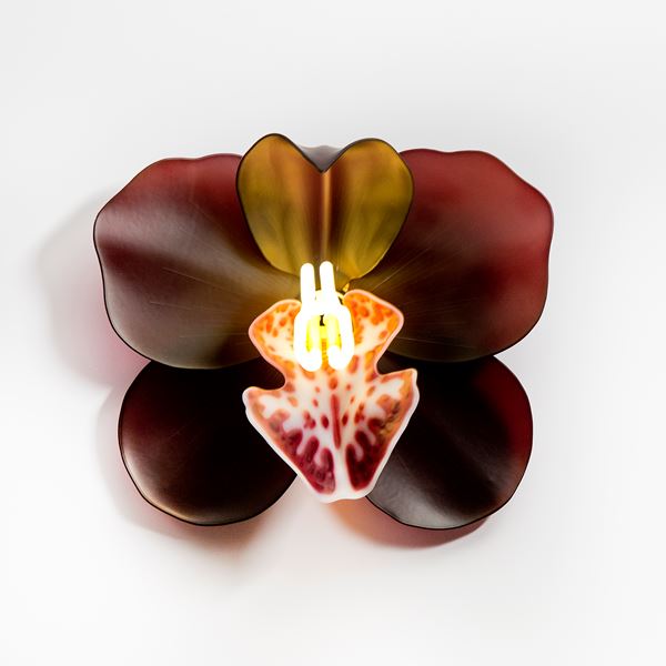 Fused and sculpted wall mounted glass art of flower in dark browns and reds