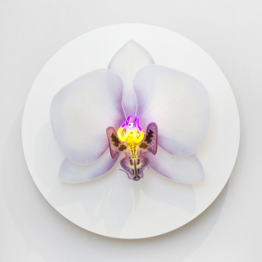 wall-mounted fused and sculpted glass art of flower in white and purple neon