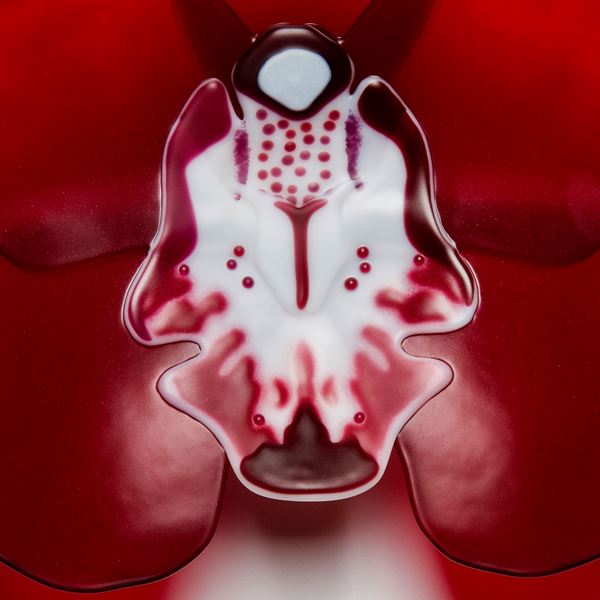 handmade fused glass sculpture of red cymbidium flower with white patterned centre