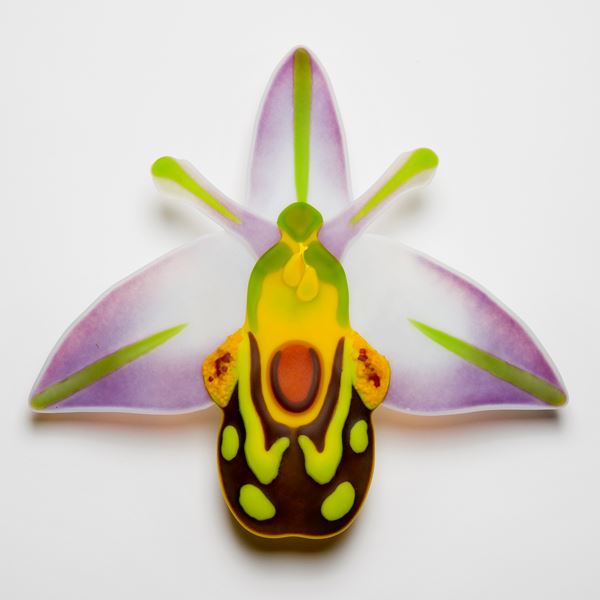 handmade fused glass sculpture of a bee nestling in an orchid in green orange white and purple