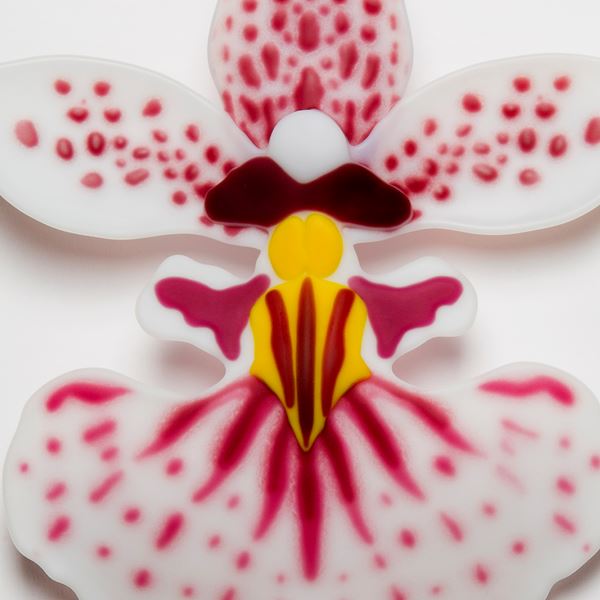 glass art sculpture of exotic flower in white pink and yellow