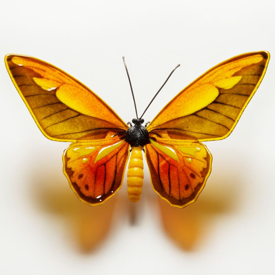 Wallace’s Golden Birdwing Butterfly