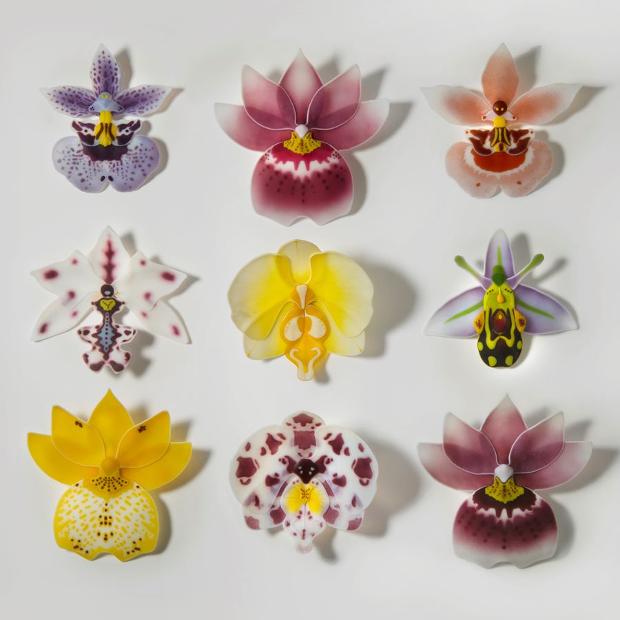selection of bright coloured glass flower sculptures arranged on white wall-hanging background
