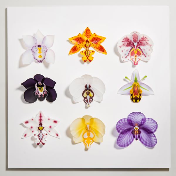selection of bright coloured glass flower sculptures arranged on white wall-hanging background