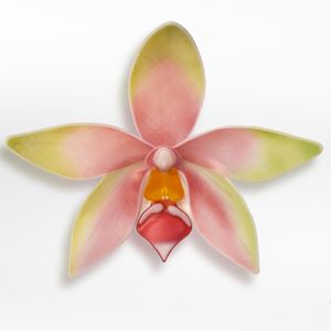green pink and gold contemporary sculptural art-glass orchid made from hand crafted fused glass