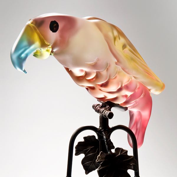 Candy Parrot Collection