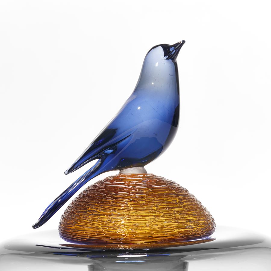 squat low and round rich royal blue bowl with amber domed lid with birds nest texture and perched royal blue bird hand blown and sculpted from glass