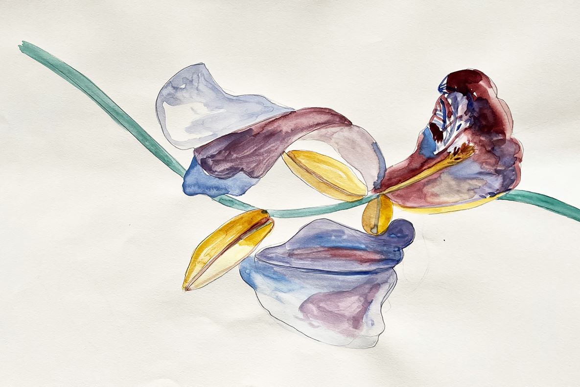 Fantasy Plants | A solo exhibition by Michèle Oberdieck
