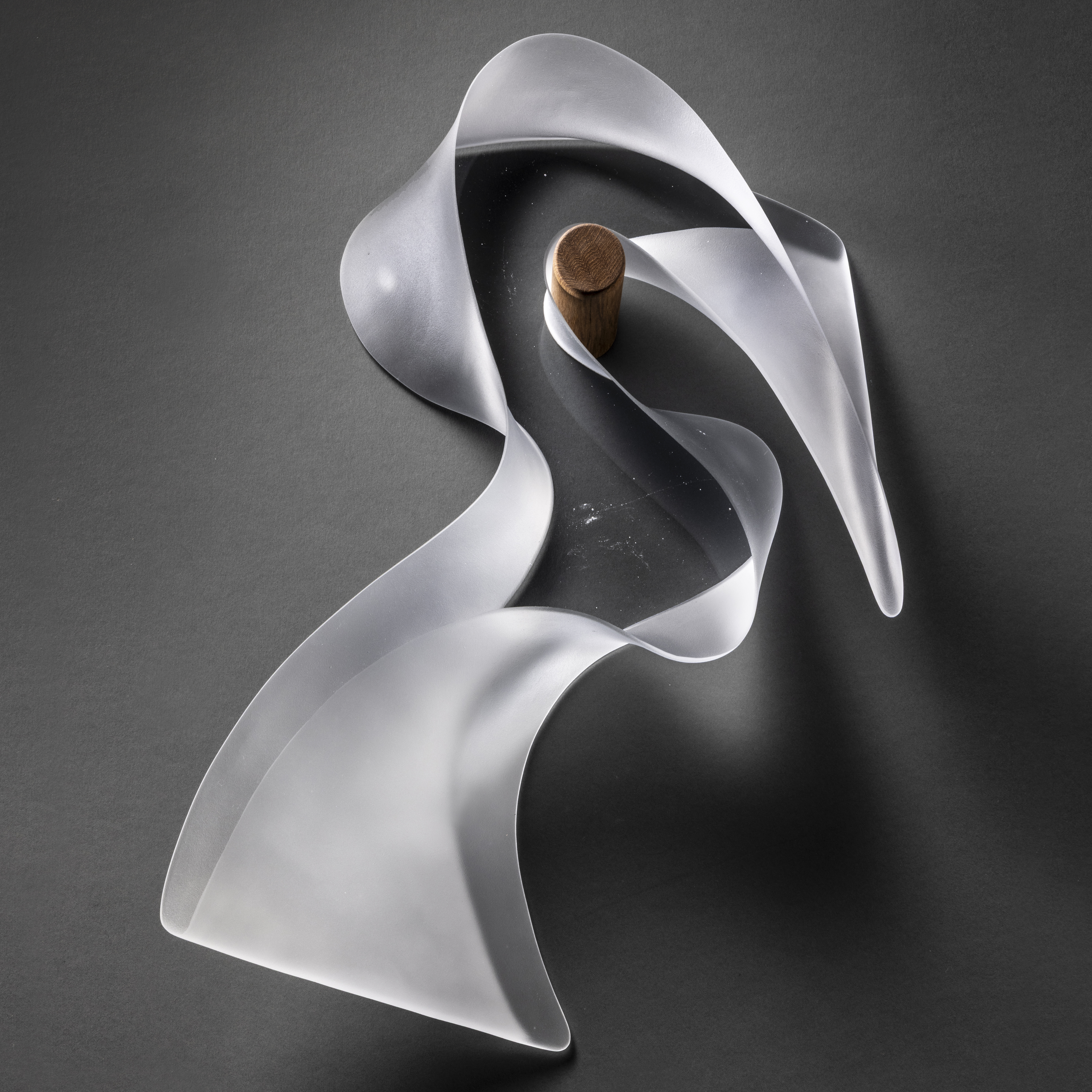 transparent abstract bird shaped hanging wall mounted sculpture with a clear front and back and frosted curling side hand made from cast glass and suspended on a round peg shaped teak fitting