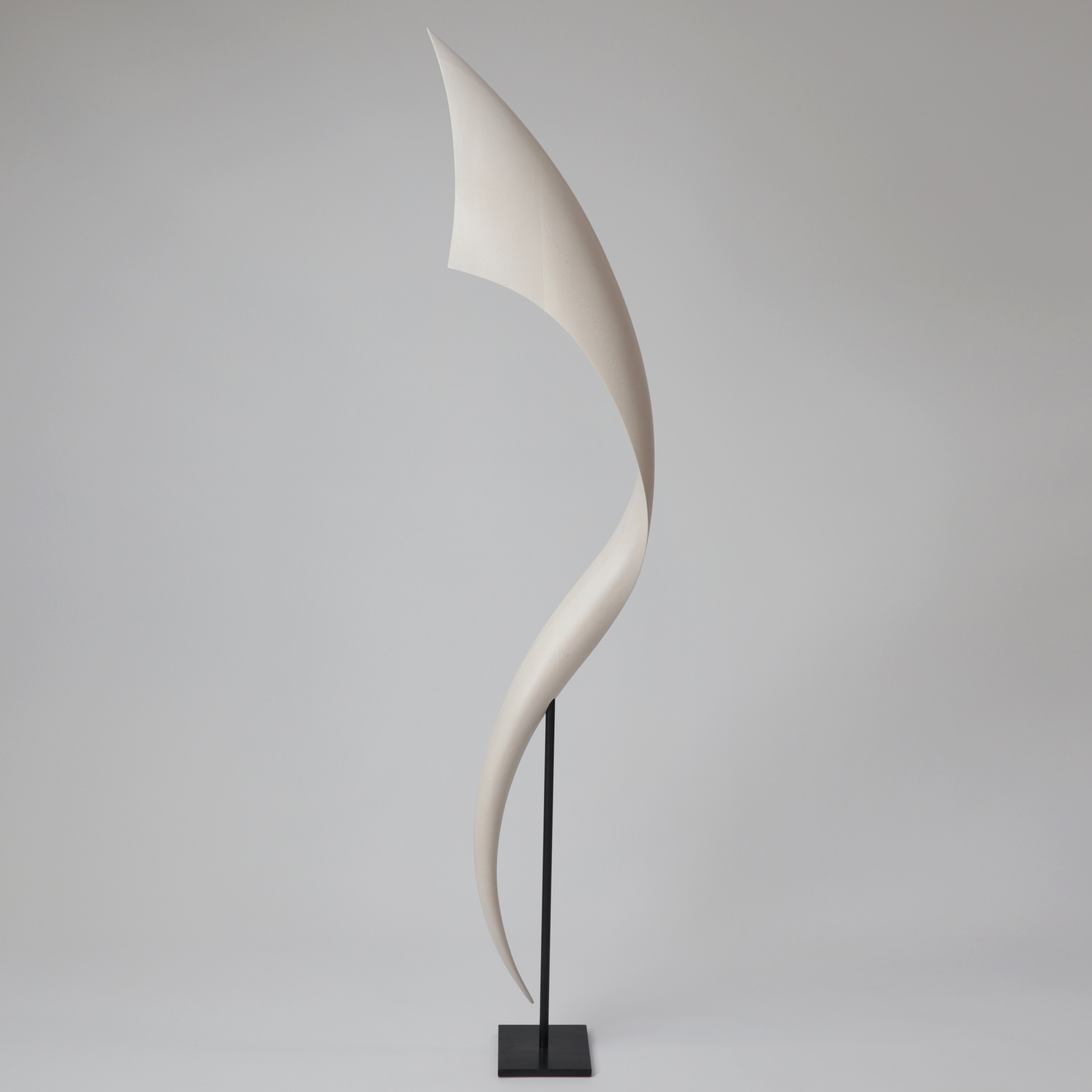 tall standing curved flaring white wooden sculpture with narrow base widening towards to the top and as it curves around presented on a black steel simple stand
