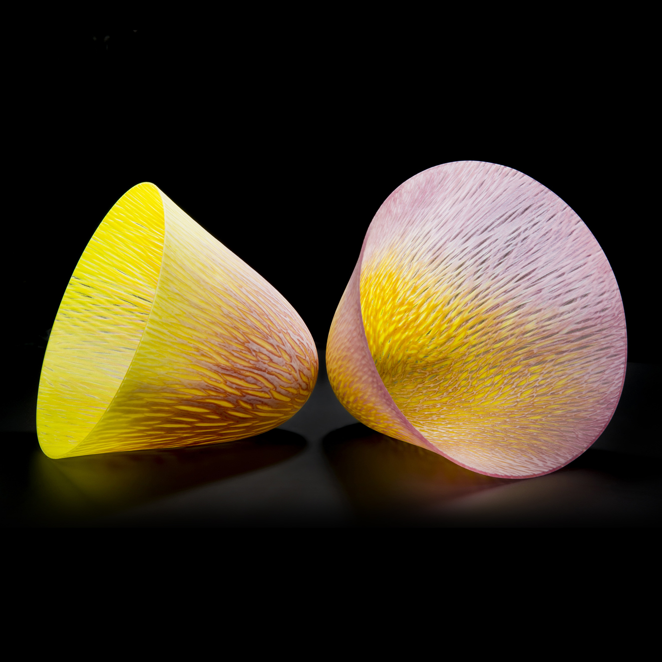 Amanda J Simmons - Dahlia Universe II | Vessel