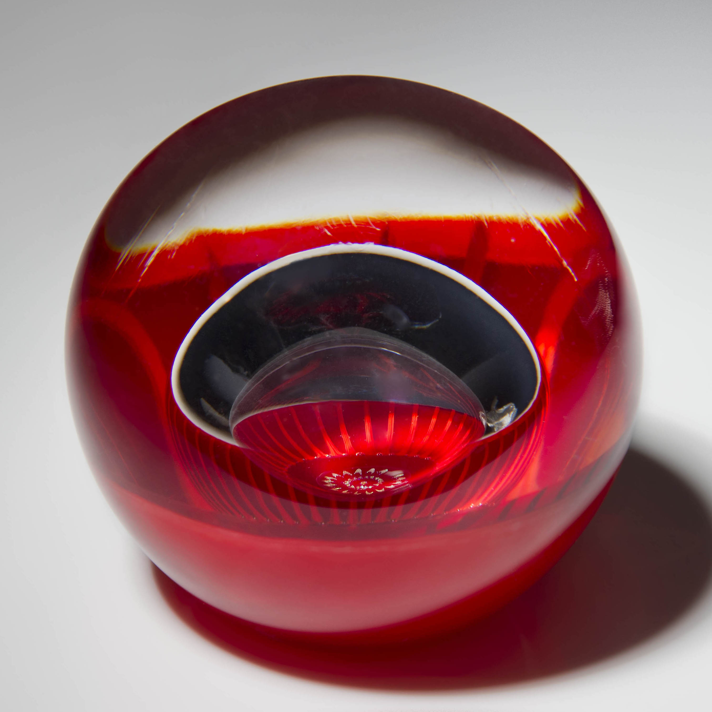 Chrysanthemum Amoratus III