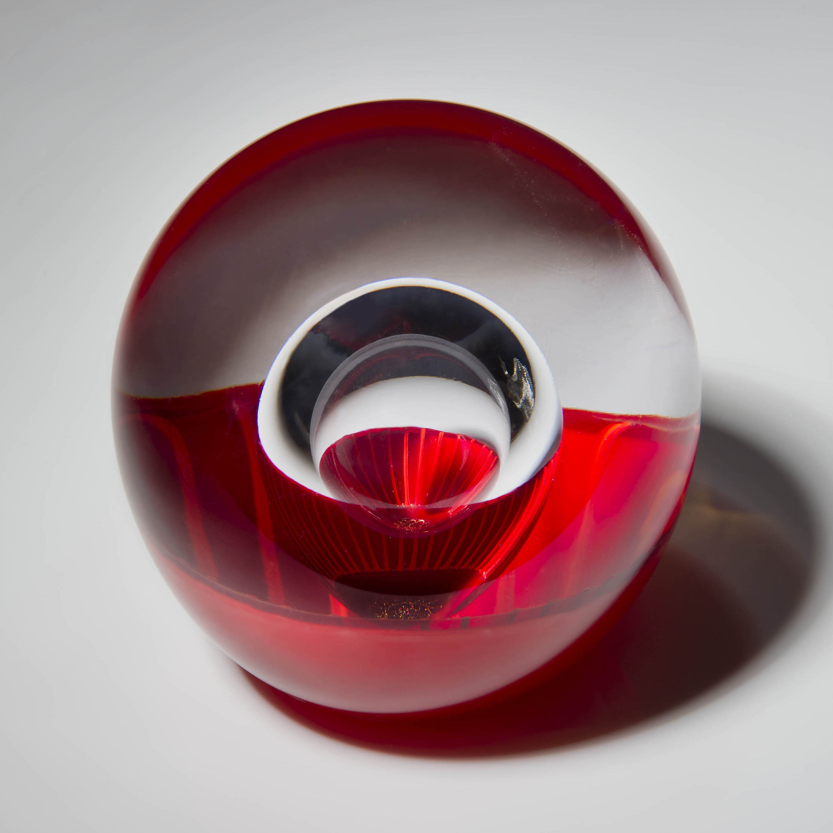 Chrysanthemum Amoratus II