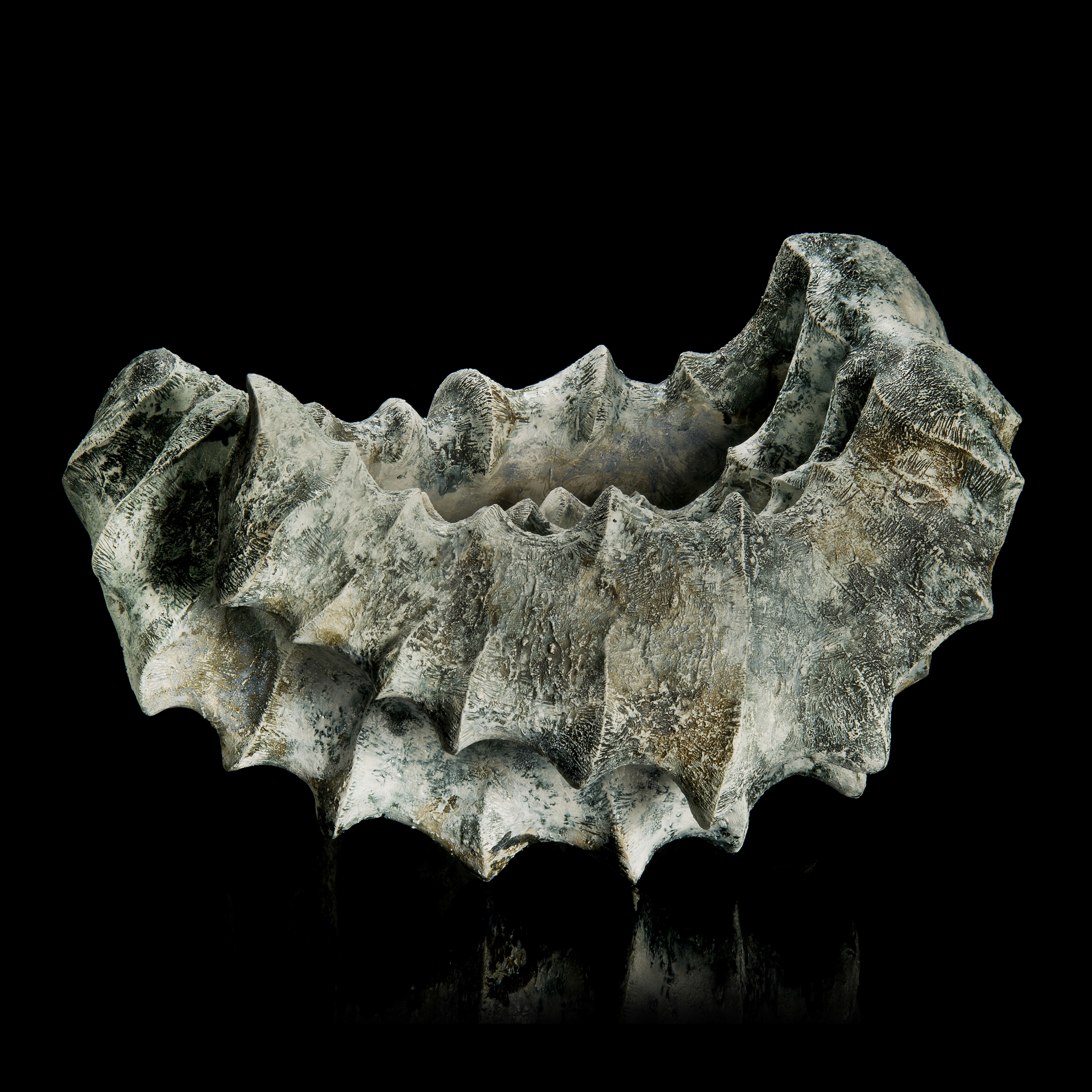 fossil half circle shaped semi porcelain art sculpture in grey and bone colours