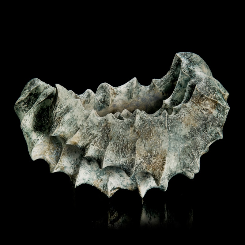 fossil half circle shaped semi porcelain art sculpture in grey and bone colours
