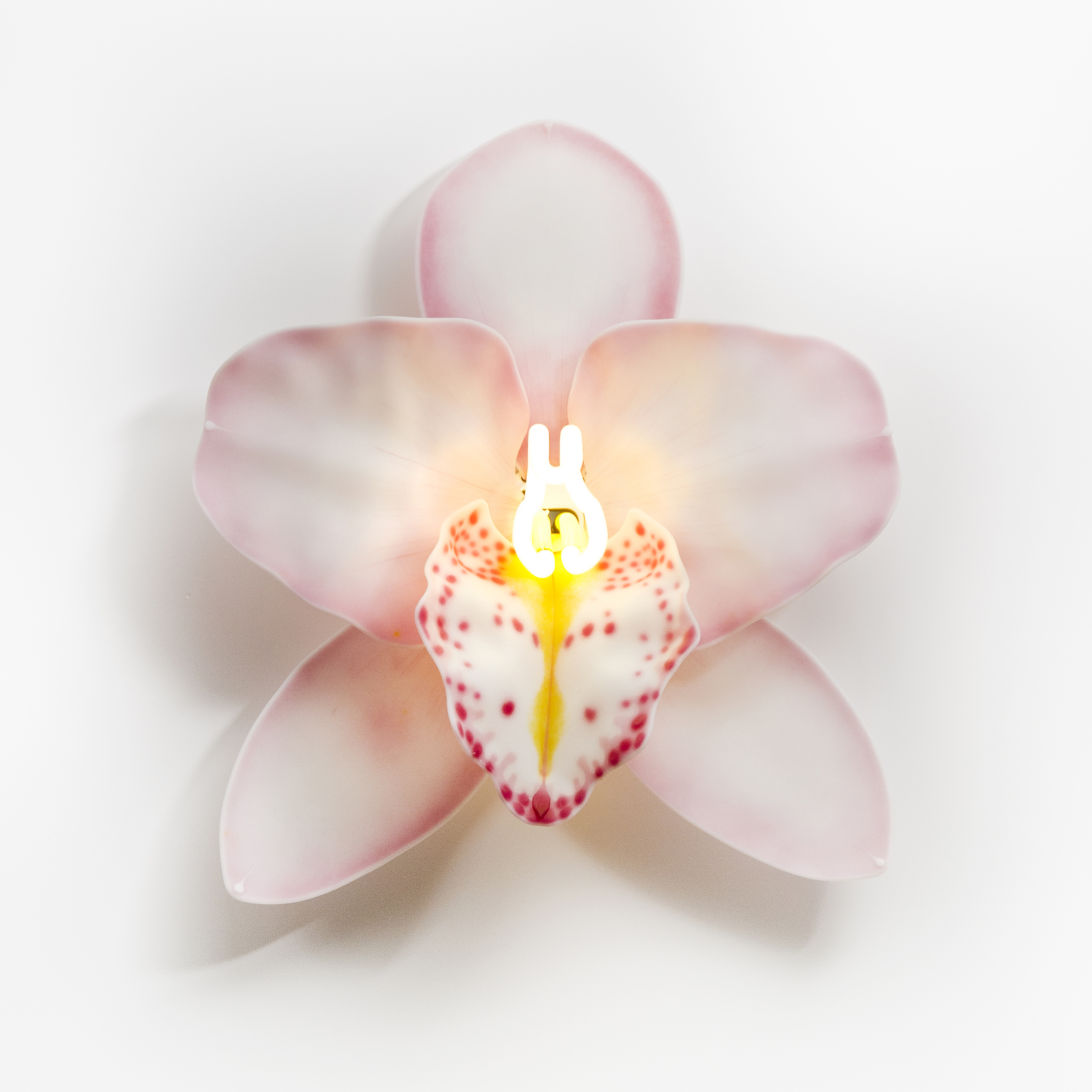 Fused and sculpted glass ornament of flower with neon