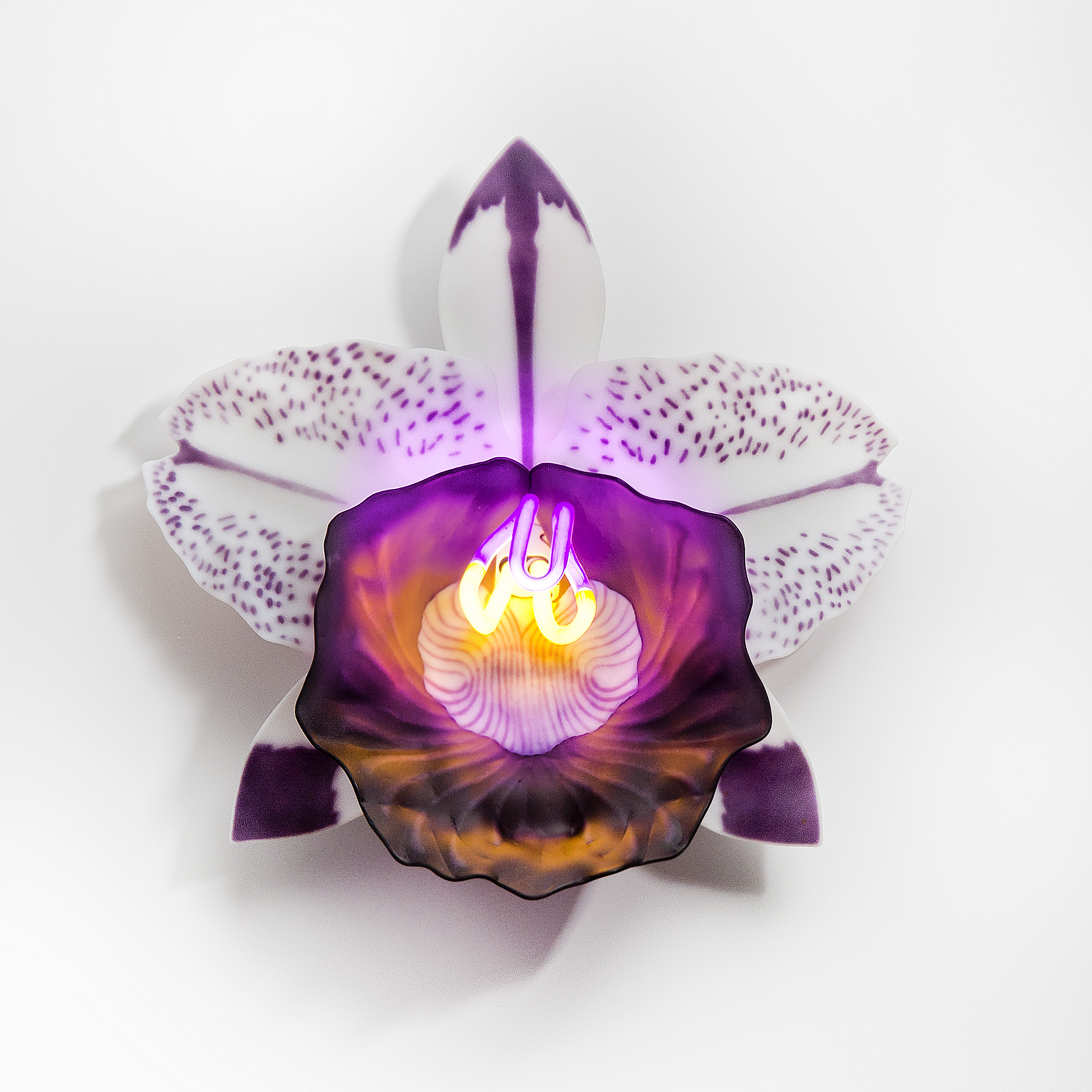 wall-mounted fused and sculpted glass art of flower in bright neon on white