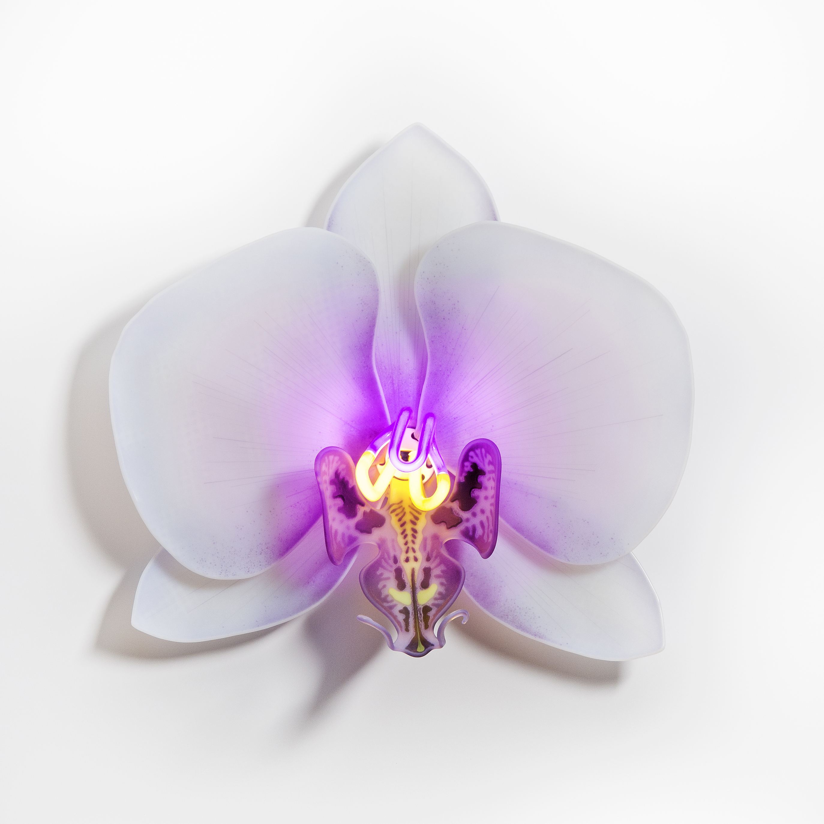 wall-mounted fused and sculpted glass art of flower in white and purple neon
