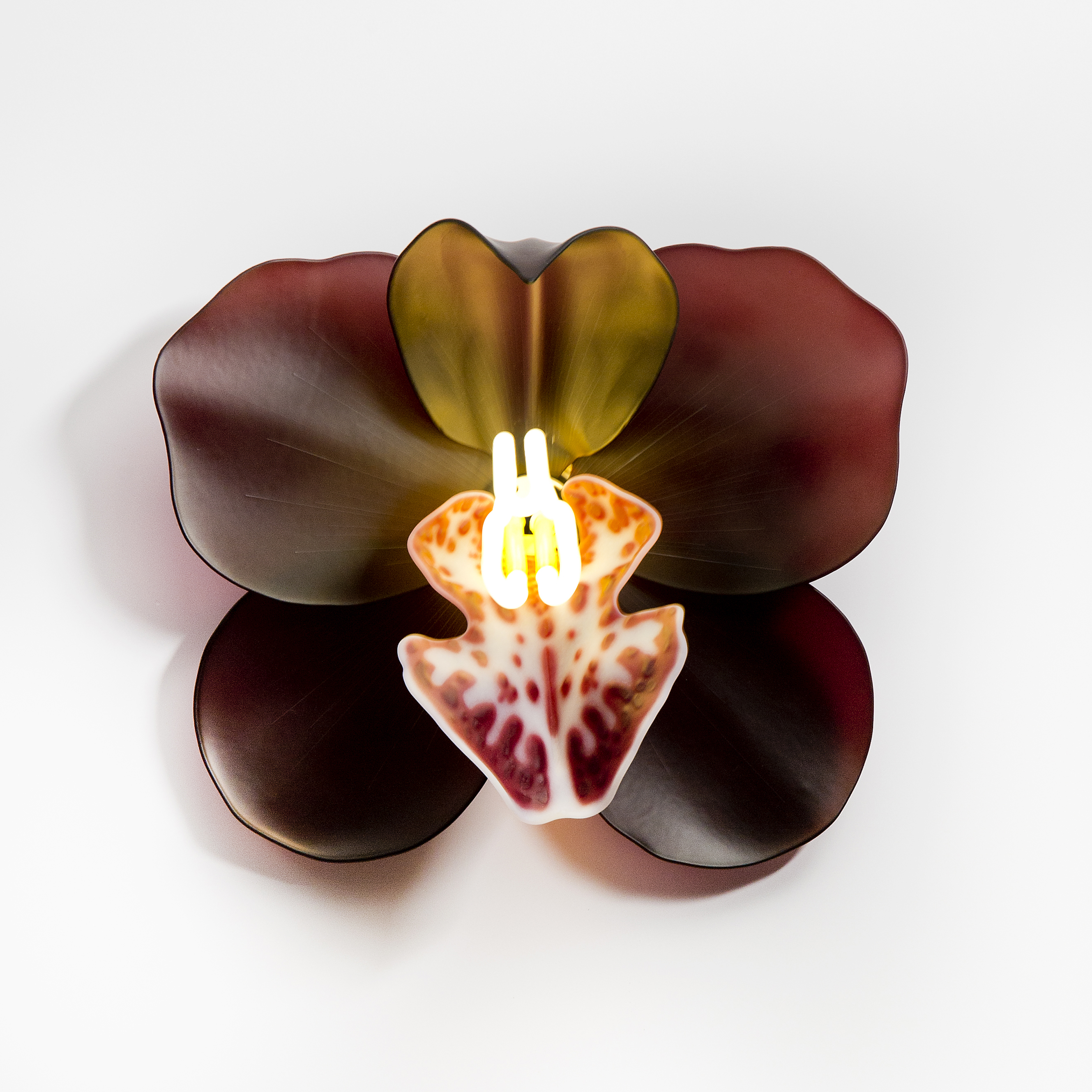 Fused and sculpted wall mounted glass art of flower in dark browns and reds