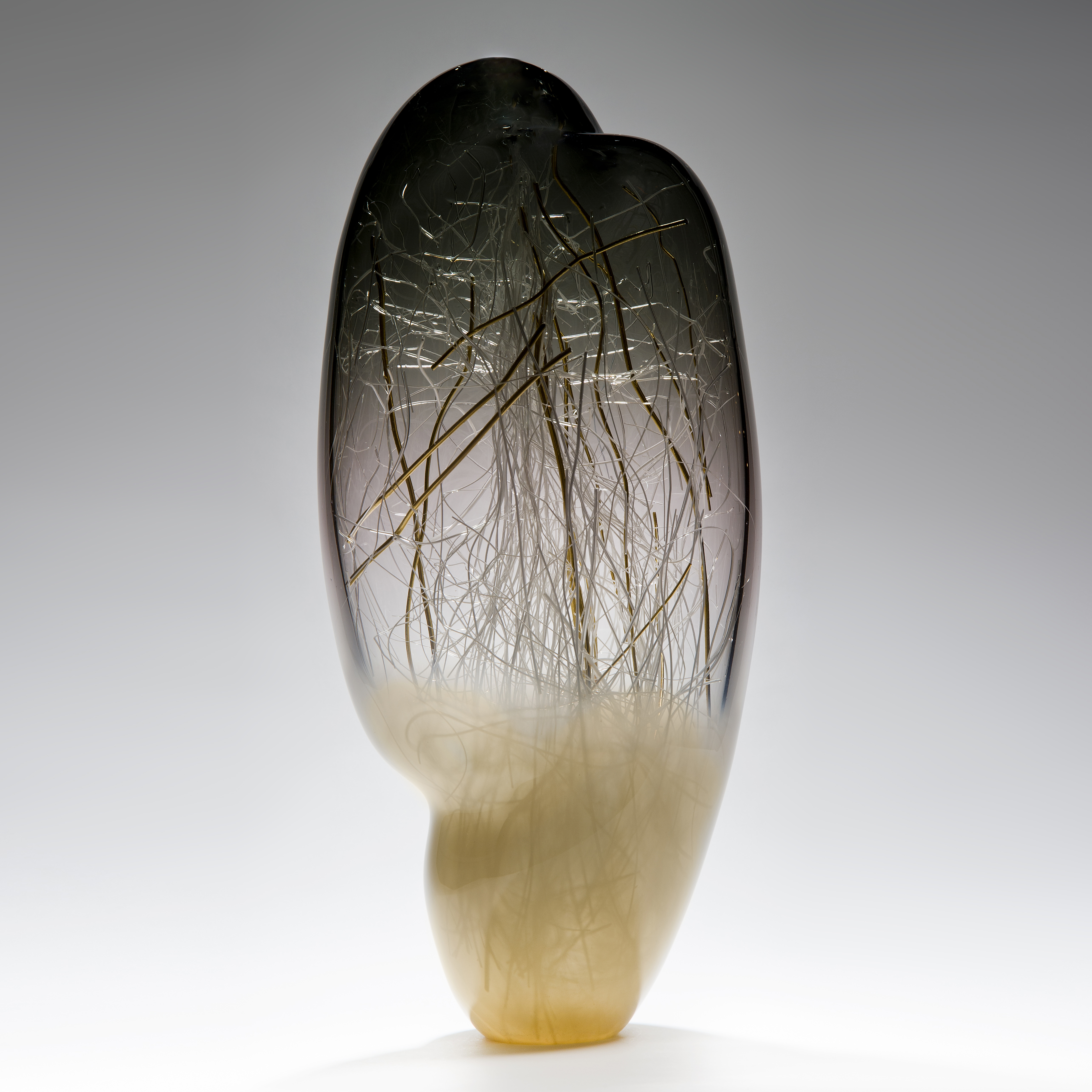 sculpted glass vase artwork with internal wire structure
