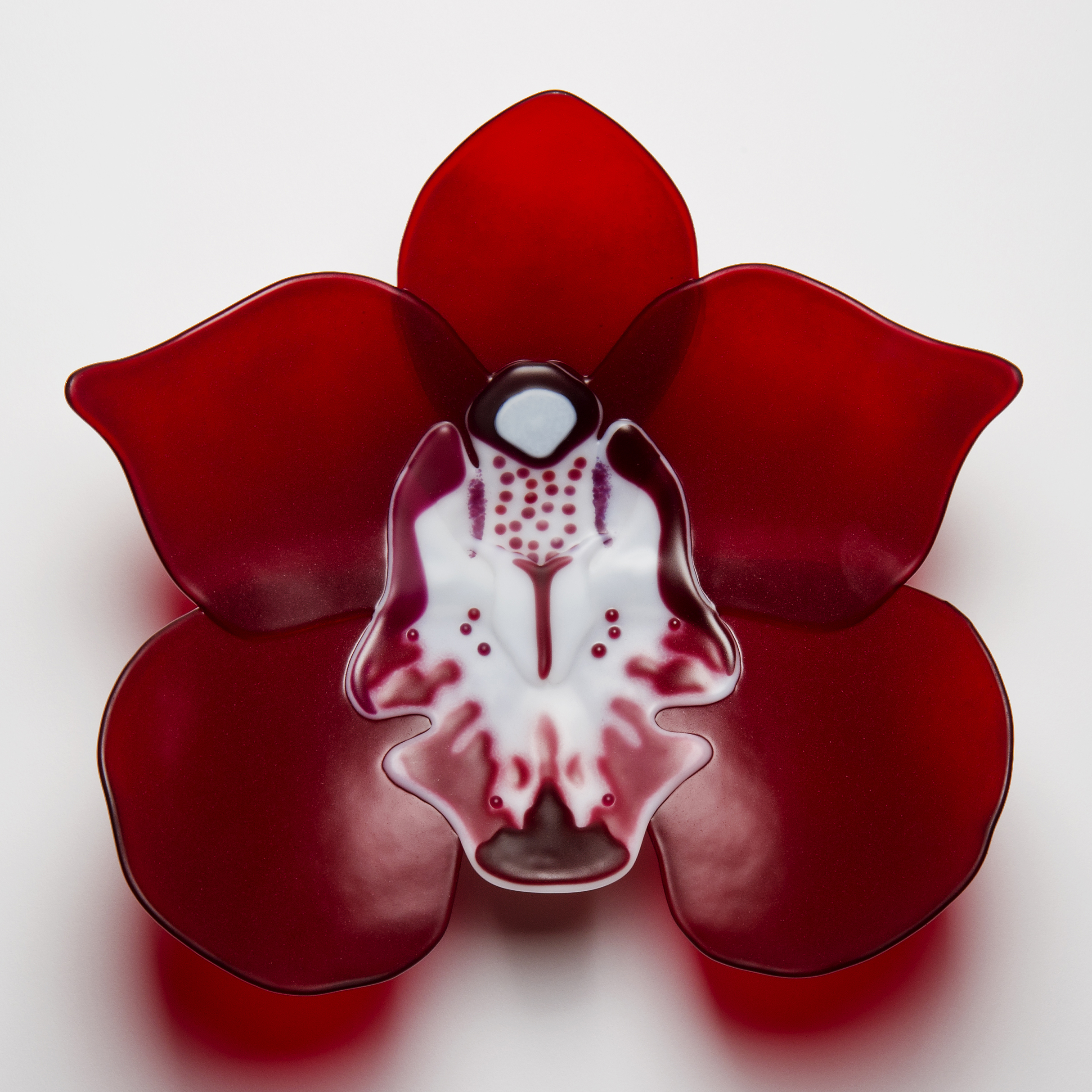 handmade fused glass sculpture of red cymbidium flower with white patterned centre