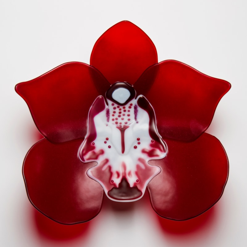 handmade fused glass sculpture of red cymbidium flower with white patterned centre