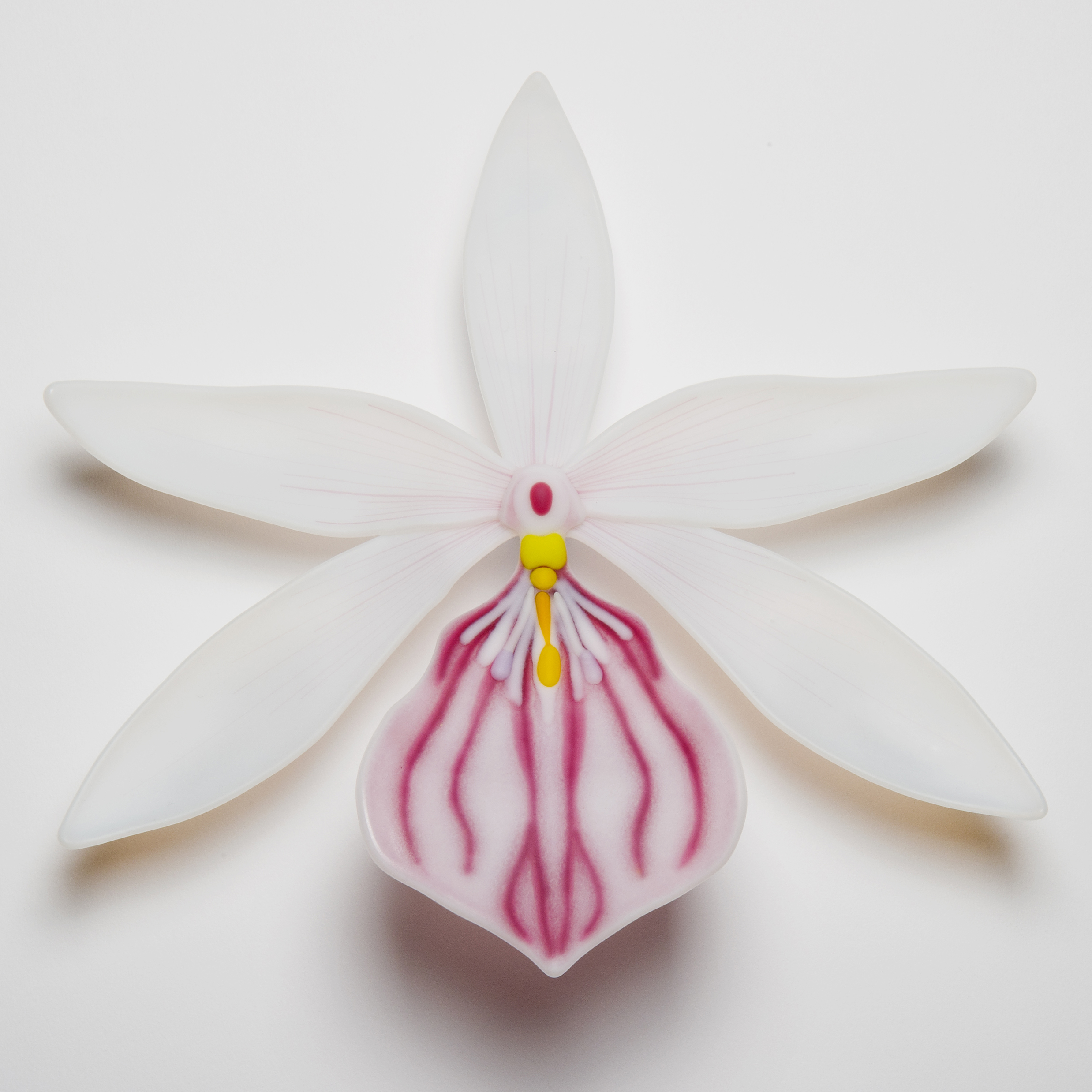 glass artwork of white exotic flower in star shape