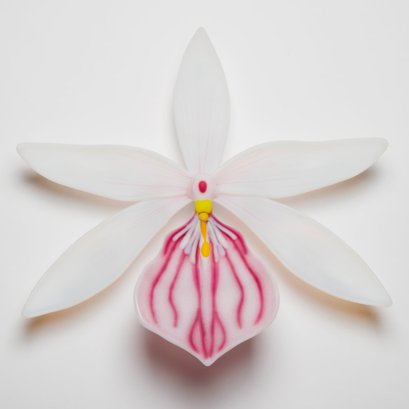 glass artwork of white exotic flower in star shape