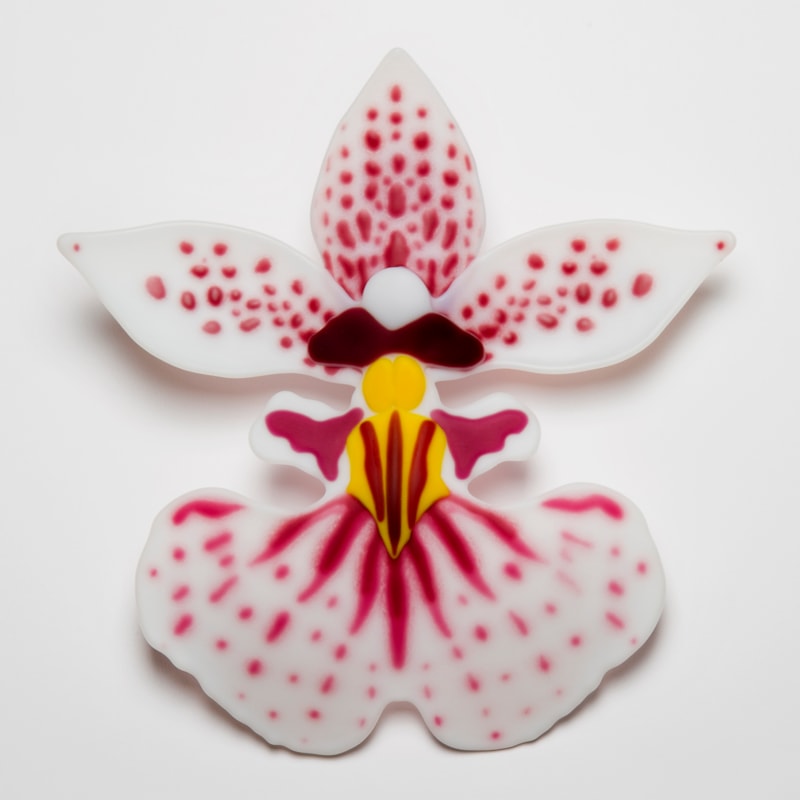 glass art sculpture of exotic flower in white pink and yellow