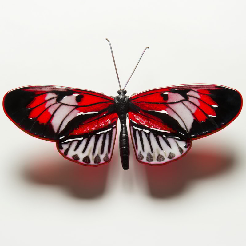 Piano Key Butterfly