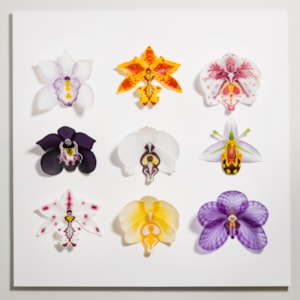 selection of bright coloured glass flower sculptures arranged on white wall-hanging background