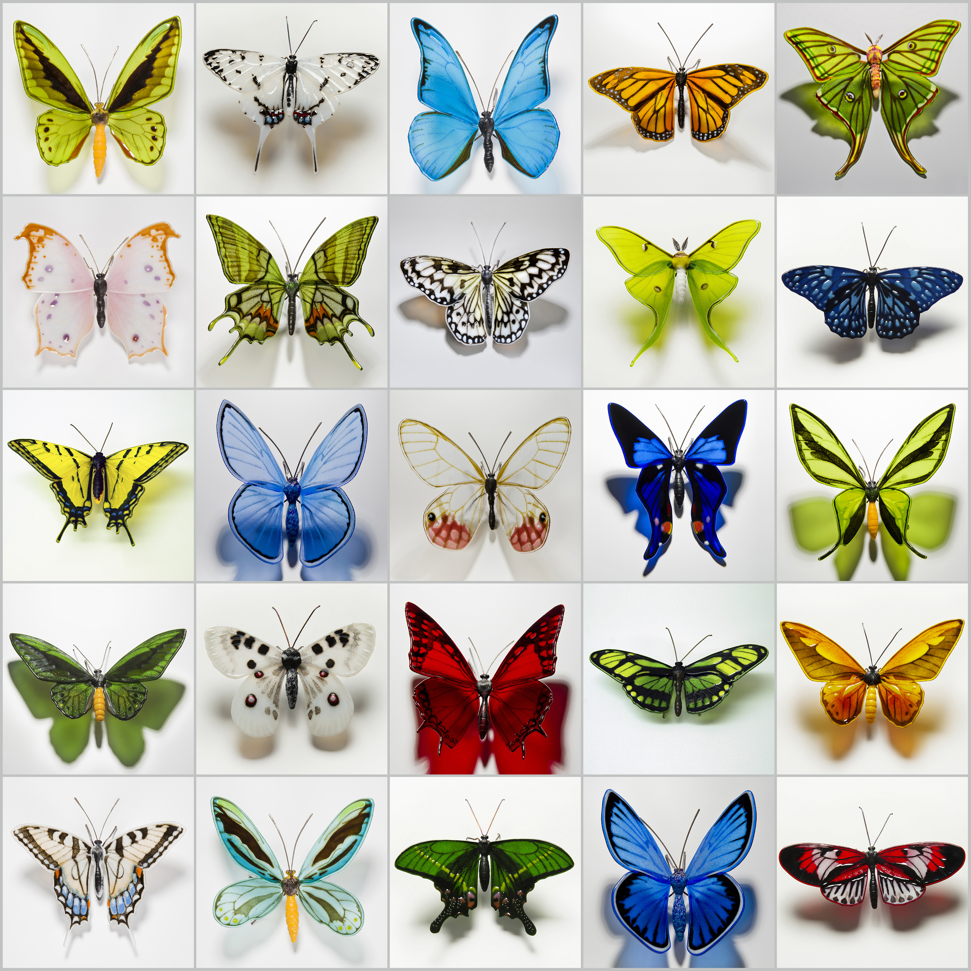 Laura Hart - Piano Key Butterfly | Vessel