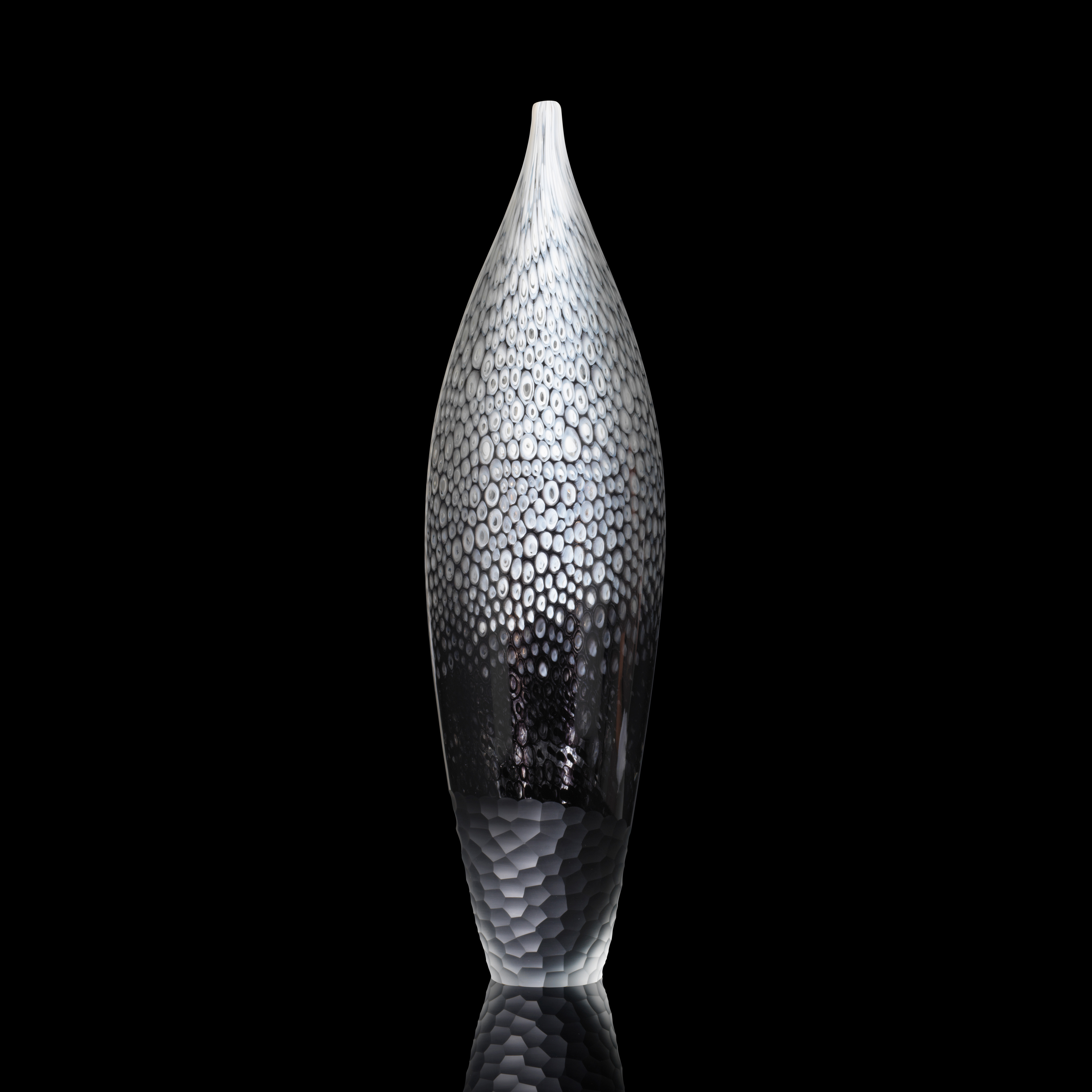 Roots in Black & White