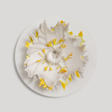 white grey and amber yellow round disc with organic lichen and fern shaped  protruding detail handmade in glass