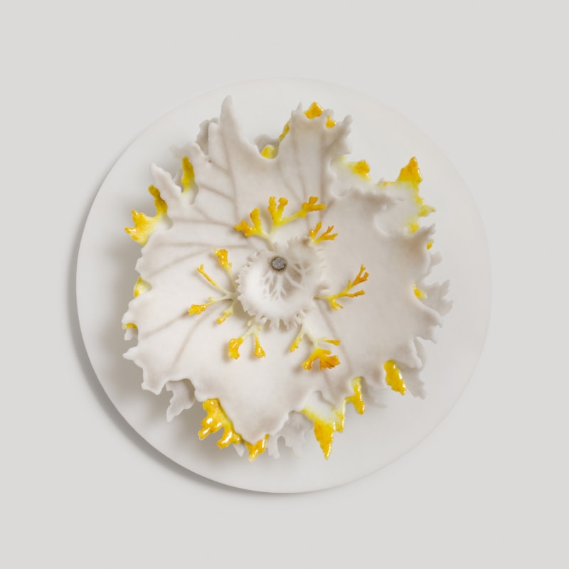 white grey and amber yellow round disc with organic lichen and fern shaped  protruding detail handmade in glass