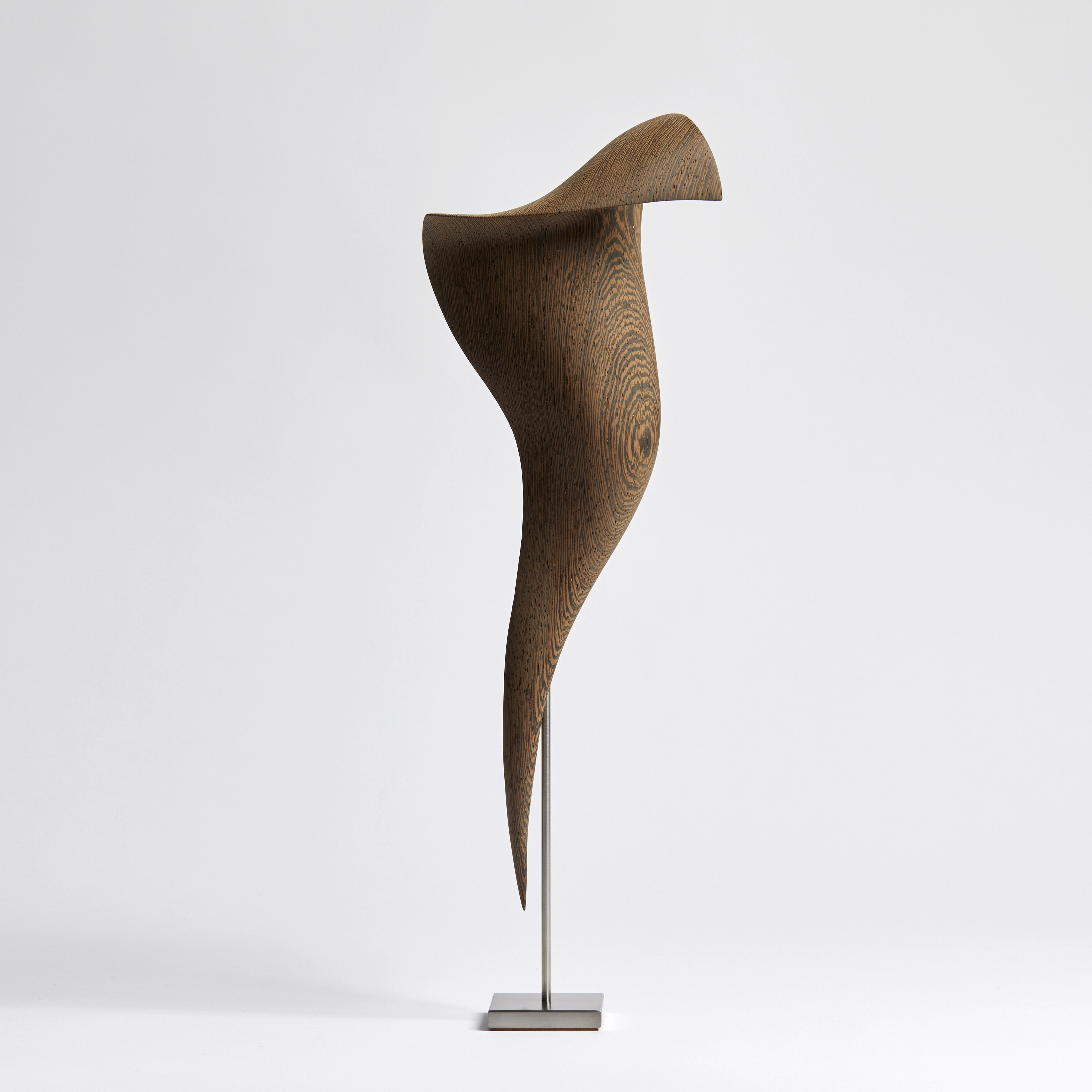 curled Wengé wood sculpture with the appearance of a fluttering and falling piece of silk with patterned wood grain texture on stainless steel stand