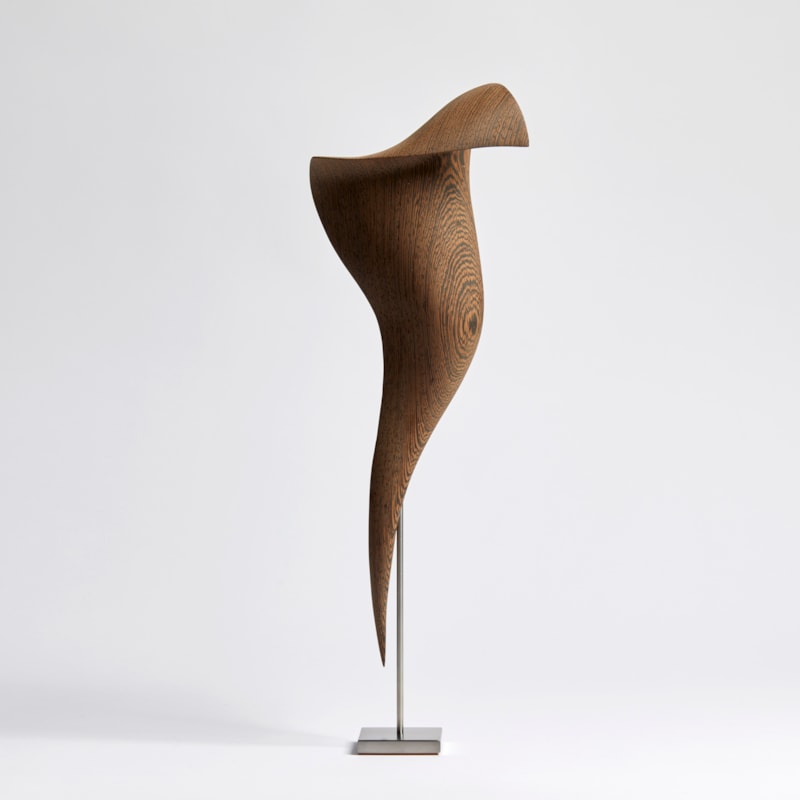 curled Wengé wood sculpture with the appearance of a fluttering and falling piece of silk with patterned wood grain texture on stainless steel stand
