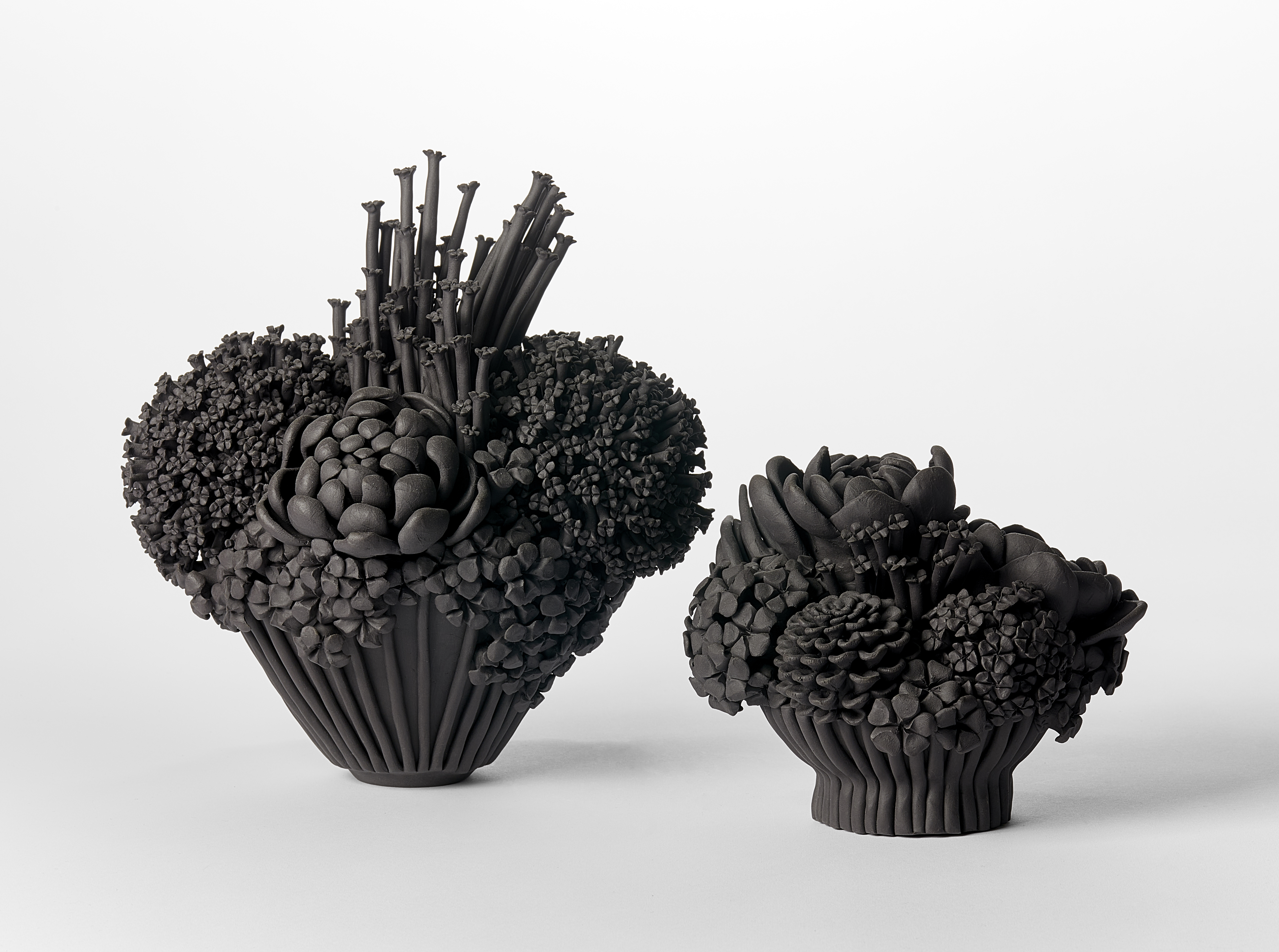 Vanessa Hogge - Black Efflorescence II | Vessel