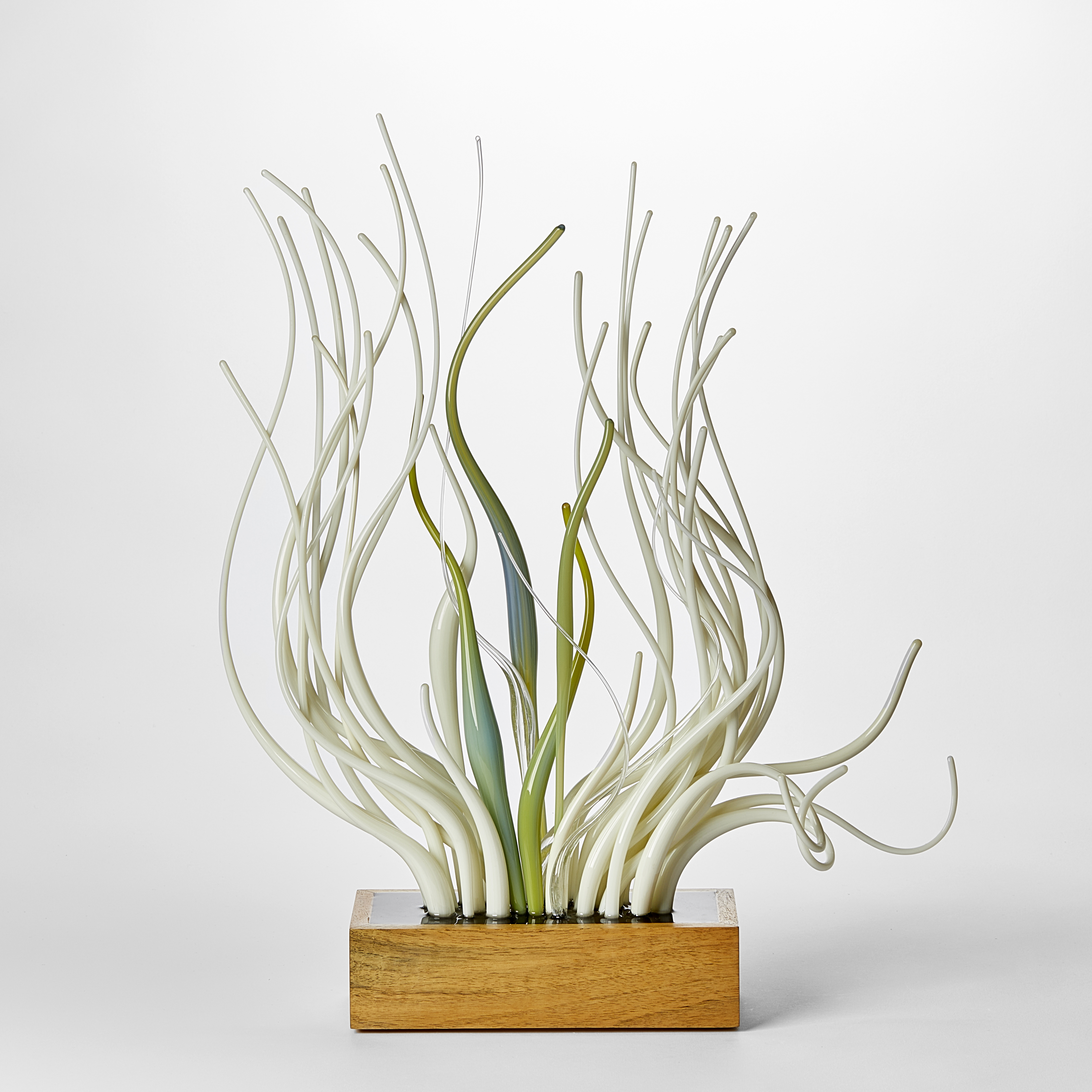 wooden rectangular base with profusion of upwardly undulating glass canes in soft green mint alabaster white and teal  which appear to be moving as if under water