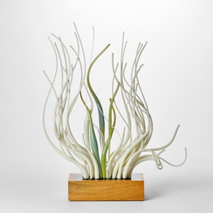 wooden rectangular base with profusion of upwardly undulating glass canes in soft green mint alabaster white and teal  which appear to be moving as if under water