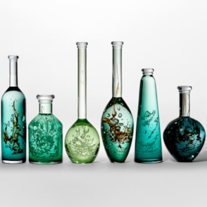 ten unique bottles of different shapes sizes and shades of green with mysterious organic trapped substances and details held within creating a unique installation hand made from glass