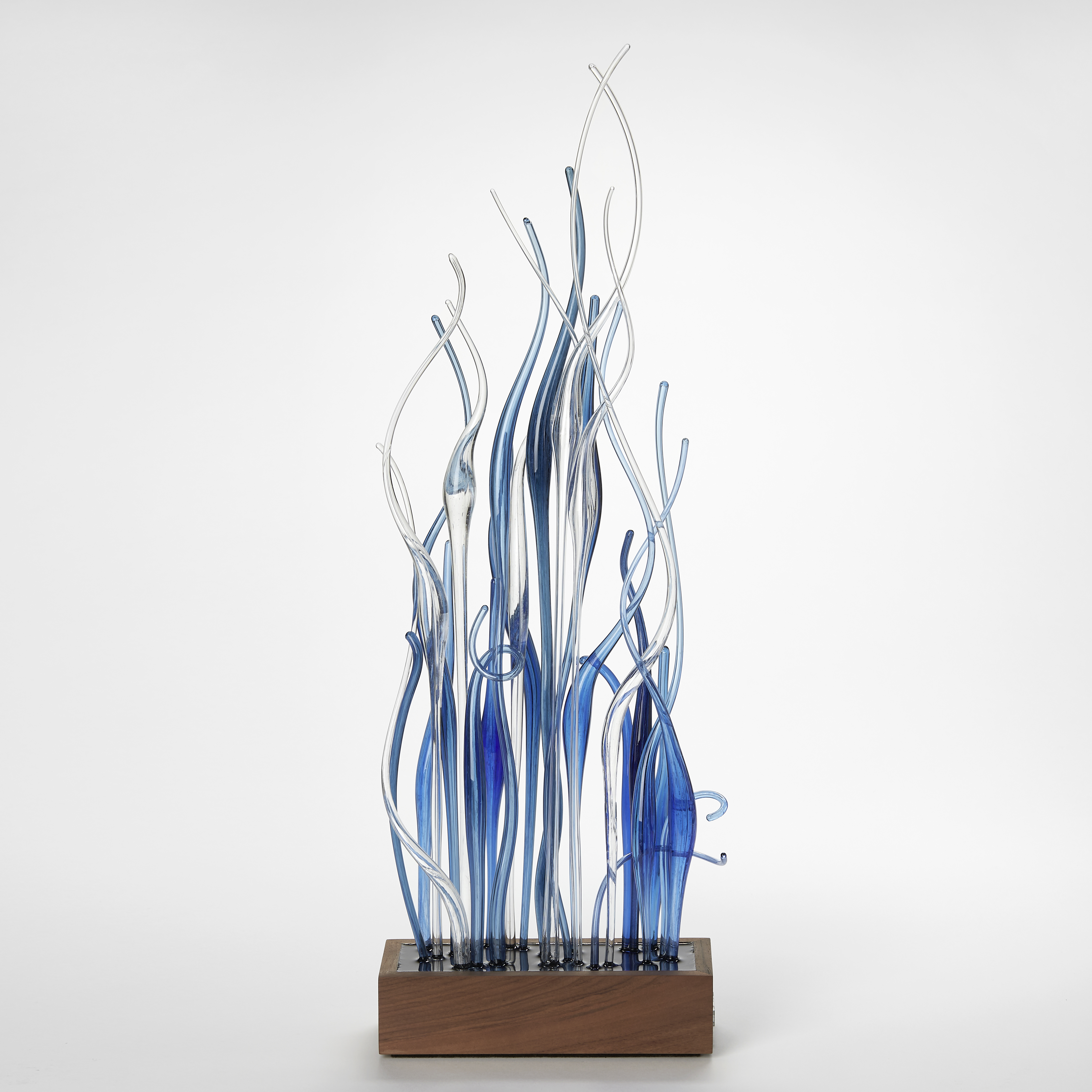 low rectangular walnut wood base with a mass of tall wavy transparent canes thrusting from the top in blue and clear hand made from glass