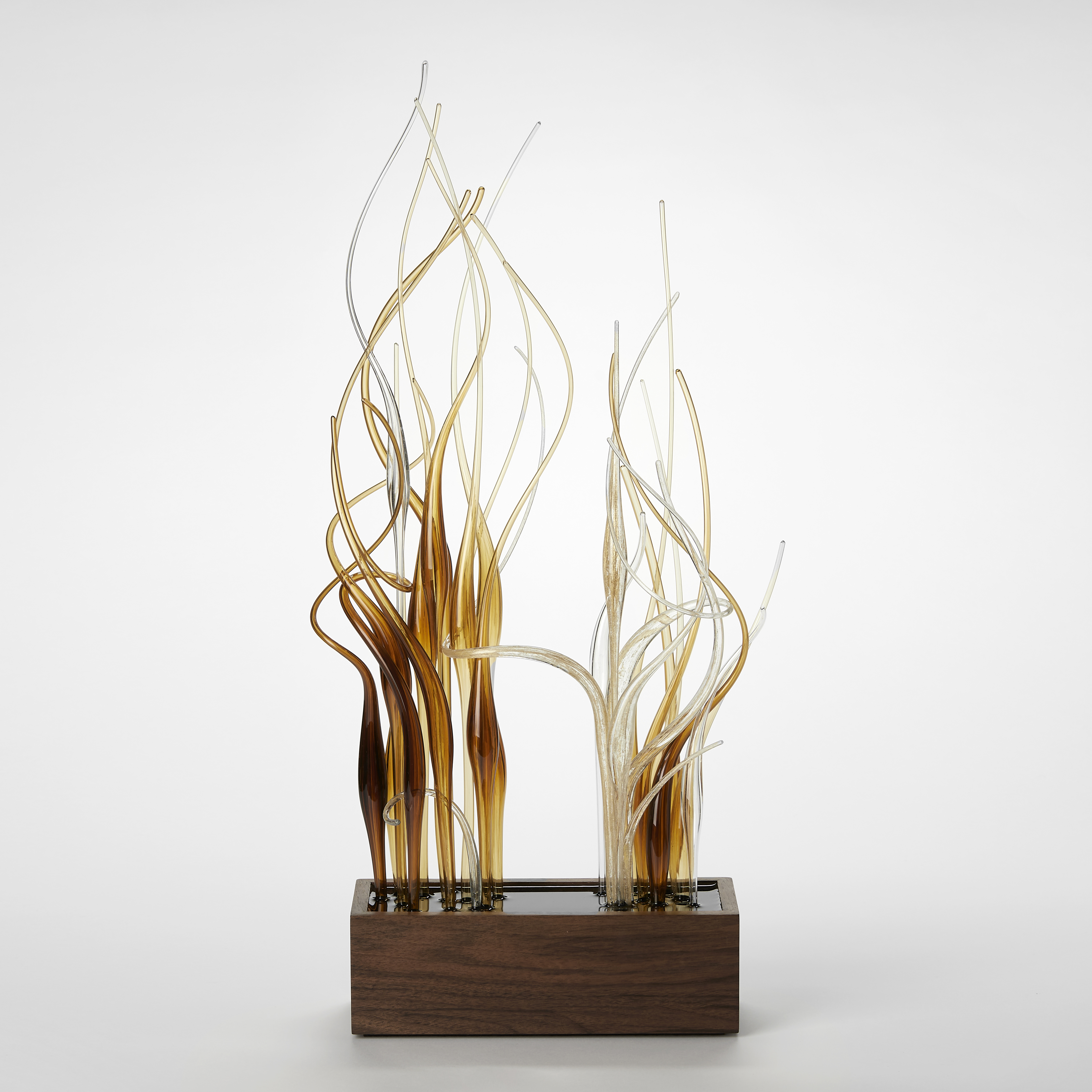 low brick shaped base made from dark walnut wood with two bunched sections of tall entwining curling transparent canes protruding from the top in brown amber and gold hand made from glass