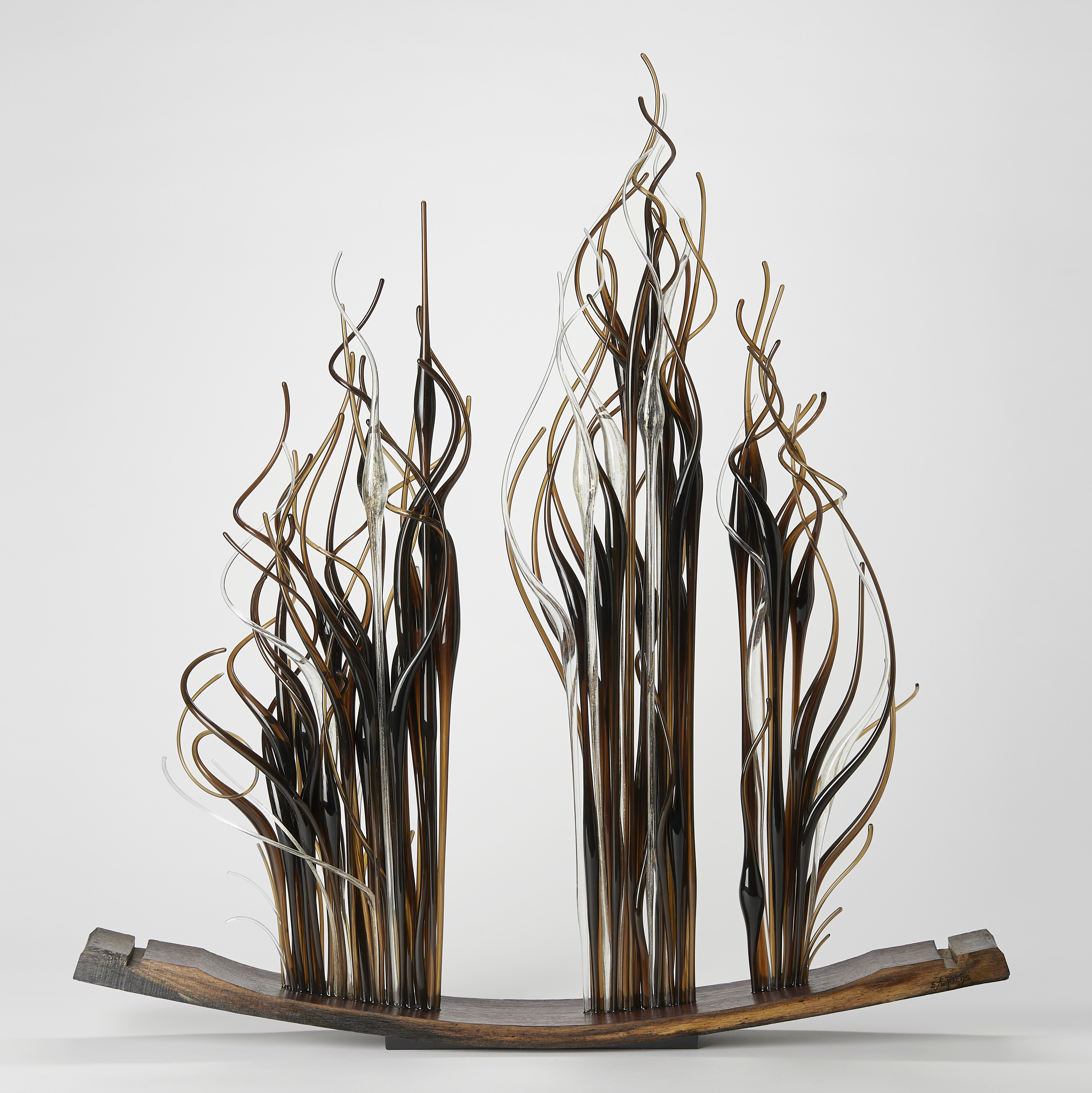 curved slice of oak from a barrel with three bunched sections of straight thin canes with curling ends in amber brown and clear protruding from the top edge and thrusting upwards with each hand made from glass