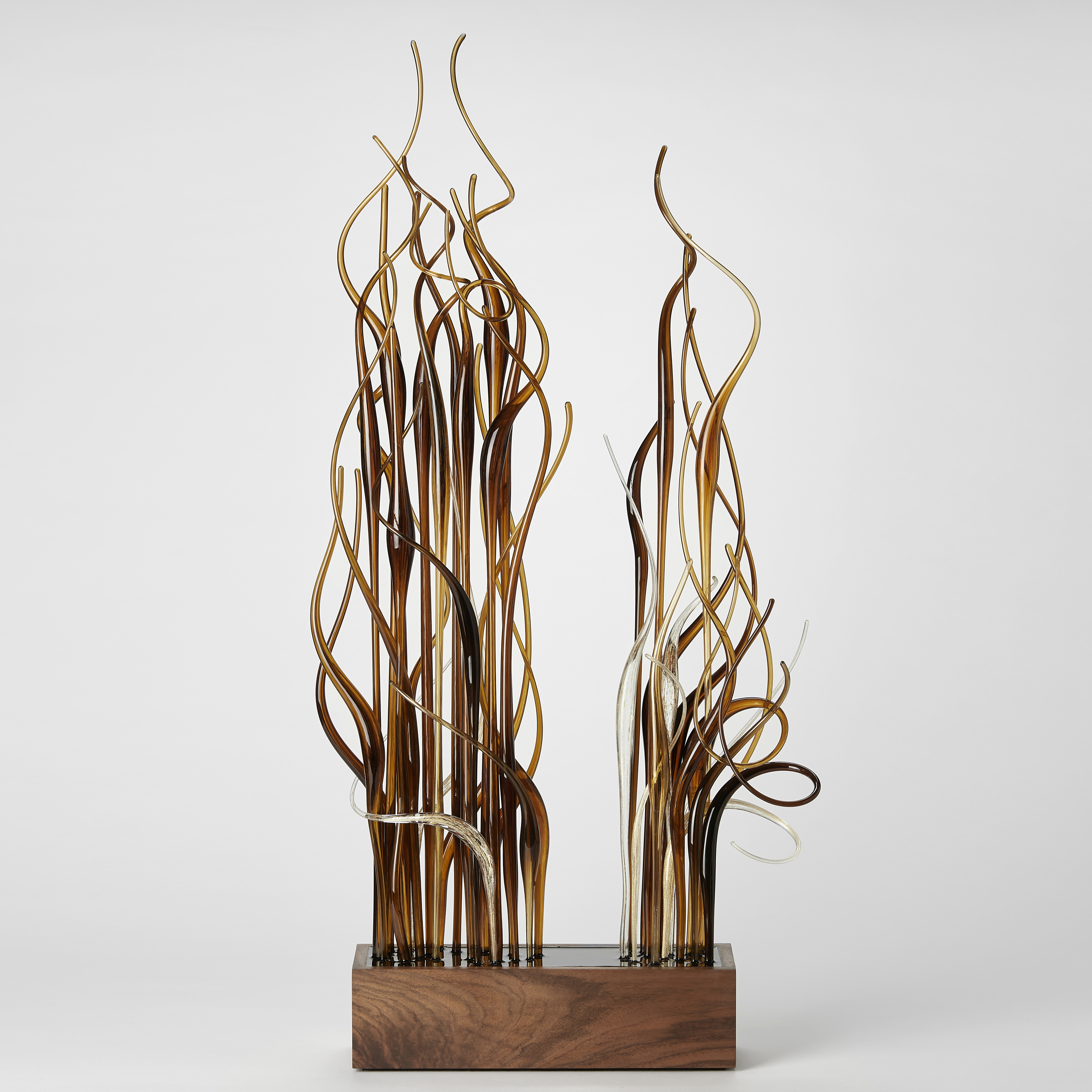 rectangular walnut wood base with two thick bunches of straight canes with interwoven curling sections in brown amber clear and gold with all thrusting upwards hand made from glass