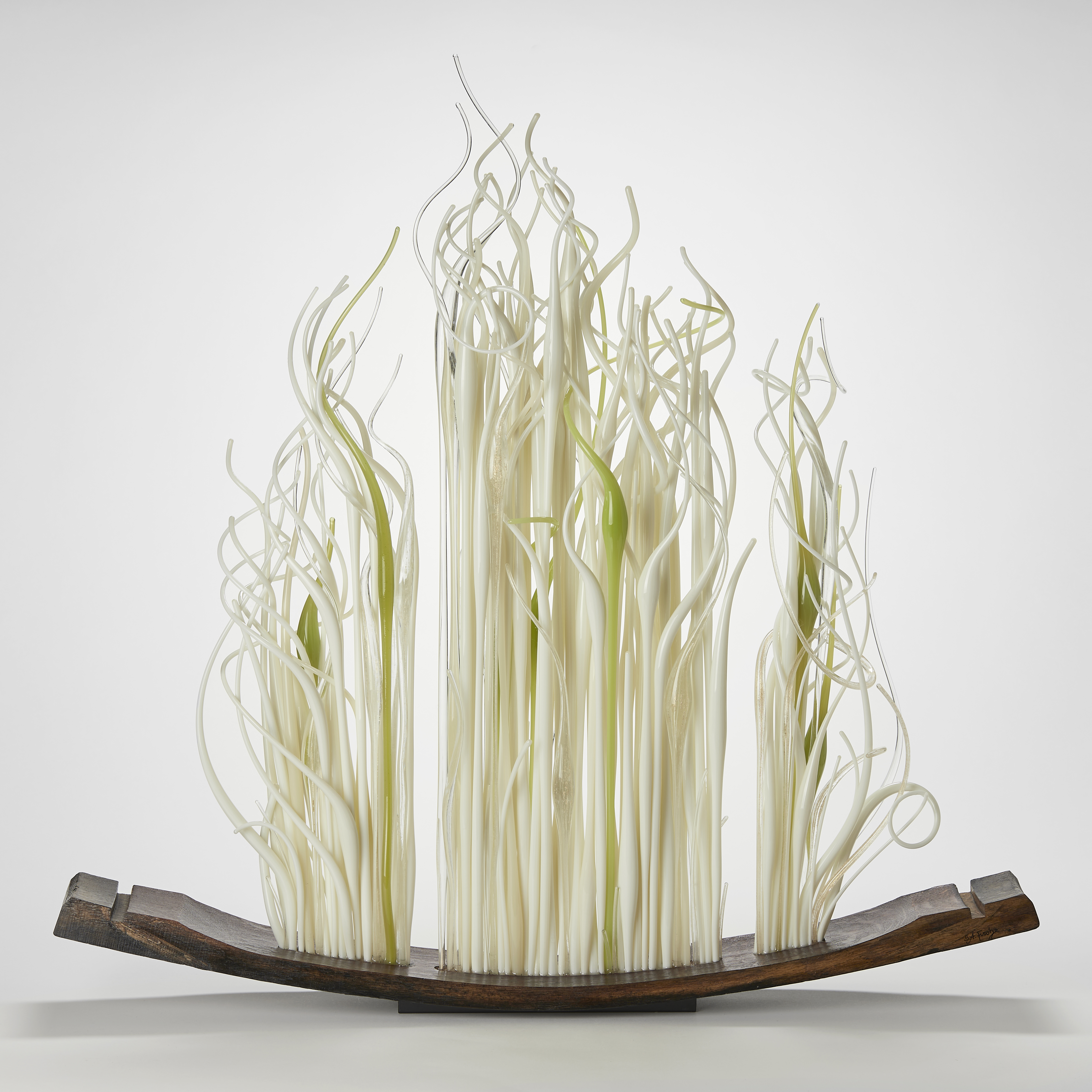 curved dark wooden oak stave from a barrel with a mass of upward extending rods attached with interwoven curling ends in cream and soft lime green hand made from glass