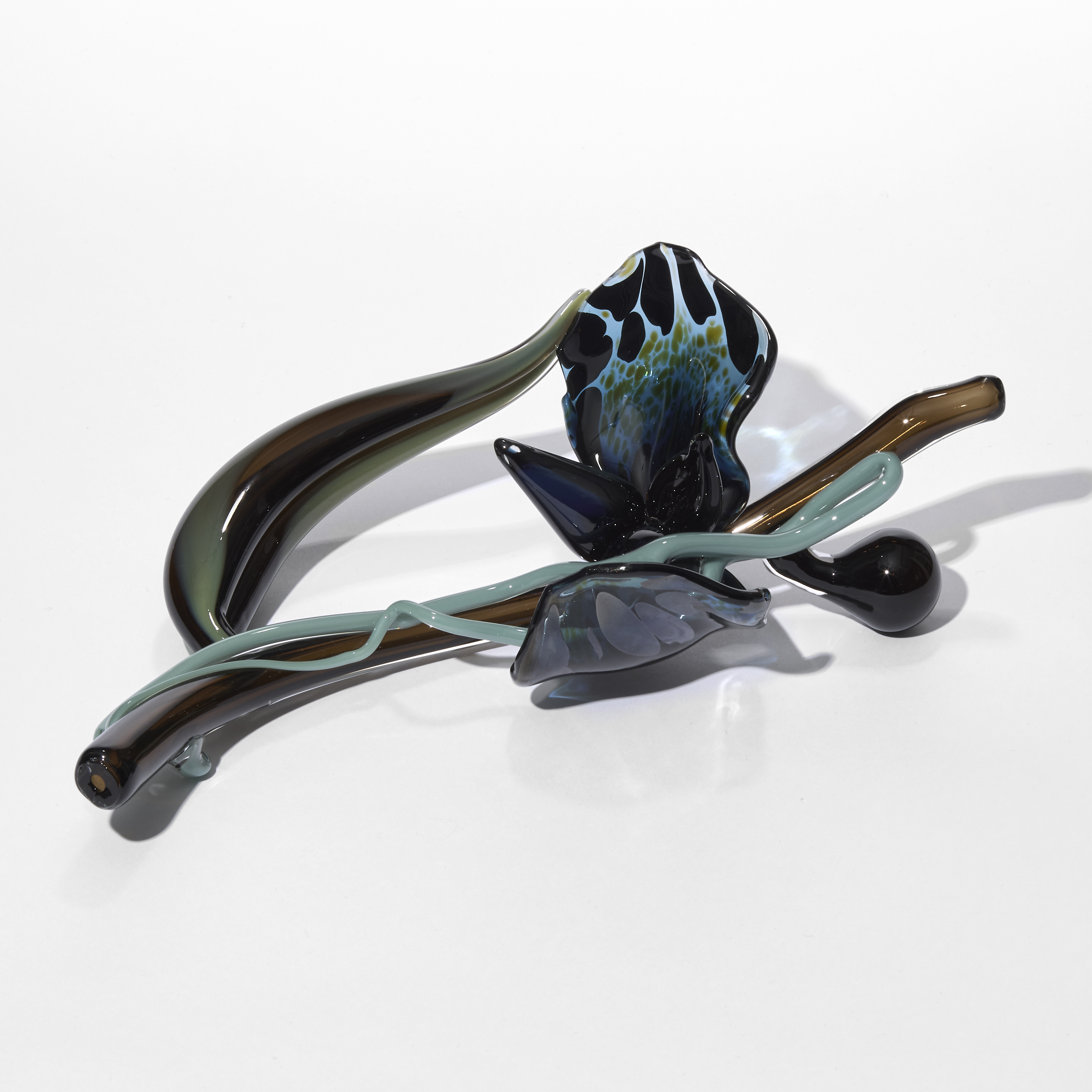 glossy brown jade indigo and blue stylised prone orchid hand blown and sculpted from glass